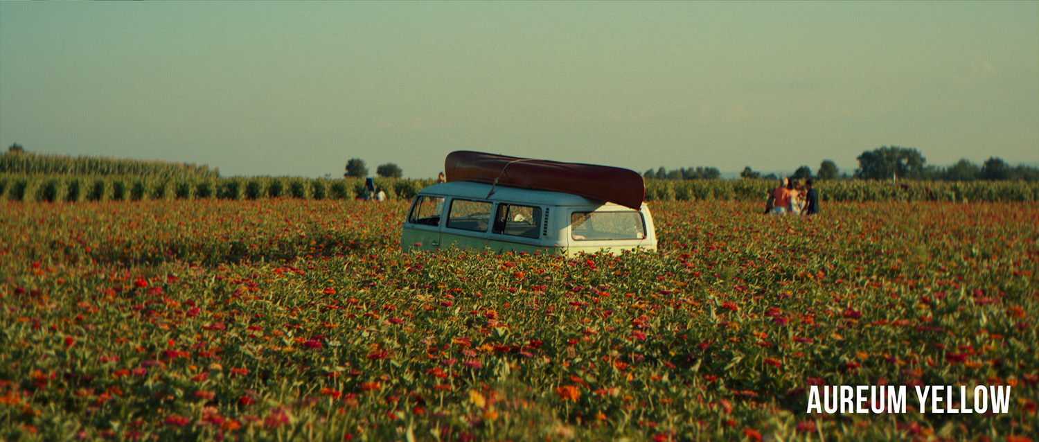 VG Studios Sunset Film LUT 14个高级现代与复古电影胶片风格化创意LUT , 第5张-素材湾丨精选海外优质设计素材资源 VG Studios Sunset Film LUT 14个高级现代与复古电影胶片风格化创意LUT , sucaiwan.com