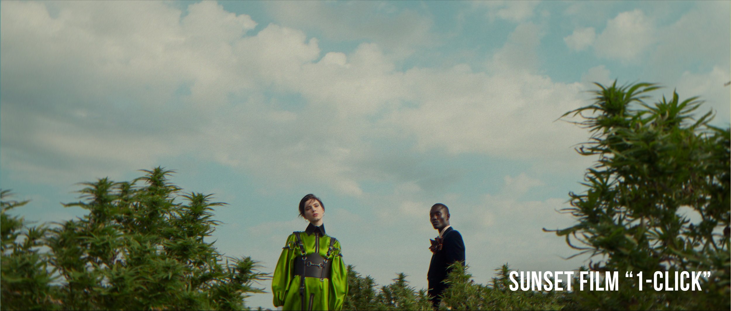 VG Studios Sunset Film LUT 14个高级现代与复古电影胶片风格化创意LUT , 第8张-素材湾丨精选海外优质设计素材资源 VG Studios Sunset Film LUT 14个高级现代与复古电影胶片风格化创意LUT , sucaiwan.com