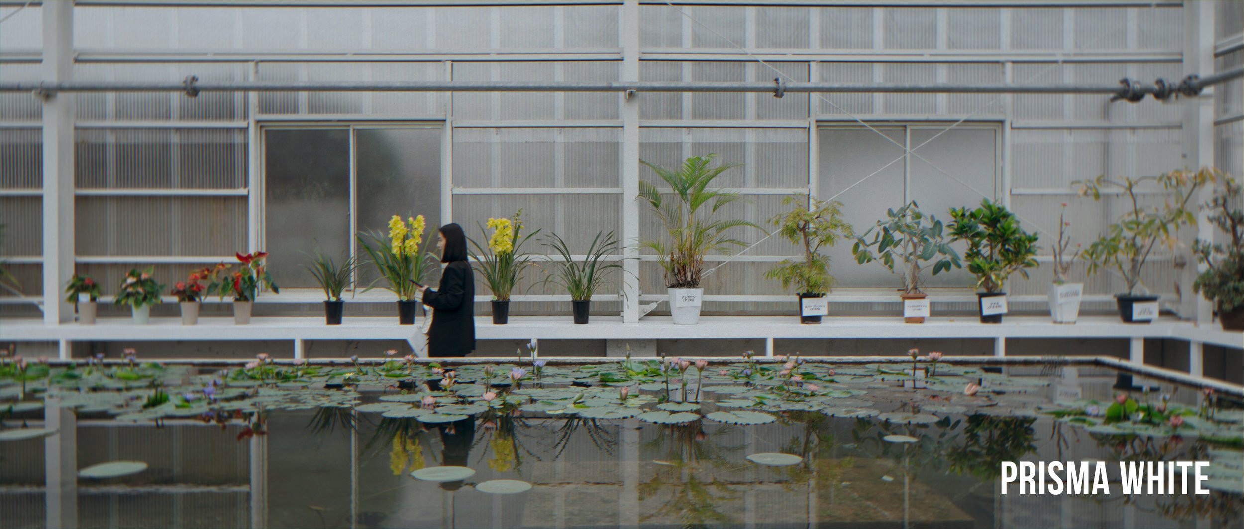 VG Studios Sunset Film LUT 14个高级现代与复古电影胶片风格化创意LUT , 第13张-素材湾丨精选海外优质设计素材资源 VG Studios Sunset Film LUT 14个高级现代与复古电影胶片风格化创意LUT , sucaiwan.com