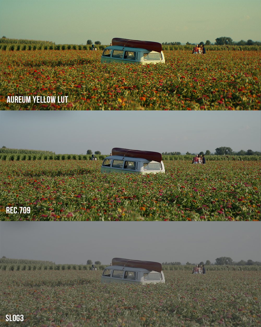 VG Studios Sunset Film LUT 14个高级现代与复古电影胶片风格化创意LUT , 第20张-素材湾丨精选海外优质设计素材资源 VG Studios Sunset Film LUT 14个高级现代与复古电影胶片风格化创意LUT , sucaiwan.com