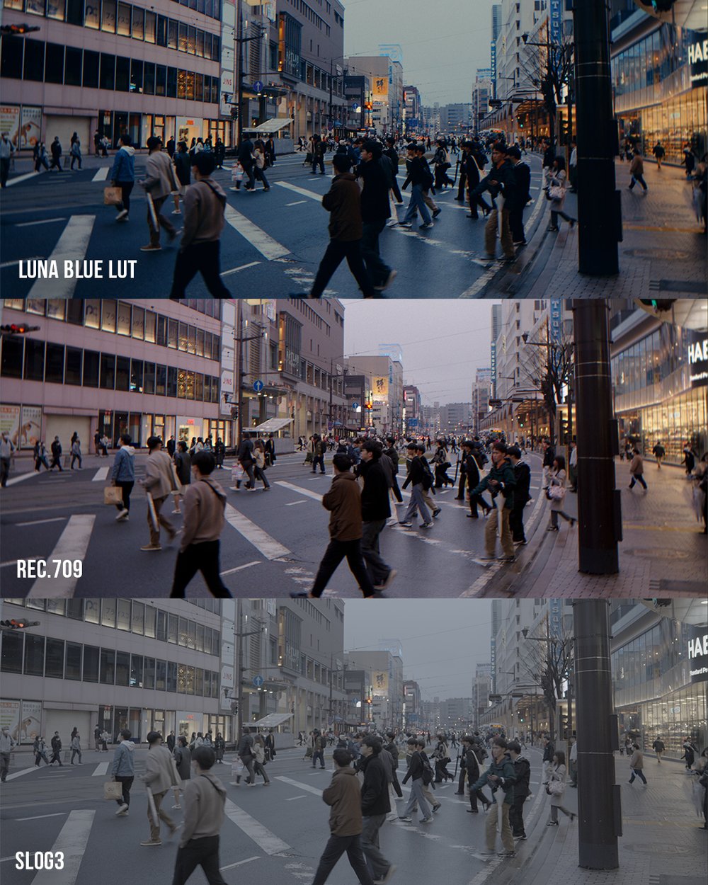 VG Studios Sunset Film LUT 14个高级现代与复古电影胶片风格化创意LUT , 第21张-素材湾丨精选海外优质设计素材资源 VG Studios Sunset Film LUT 14个高级现代与复古电影胶片风格化创意LUT , sucaiwan.com