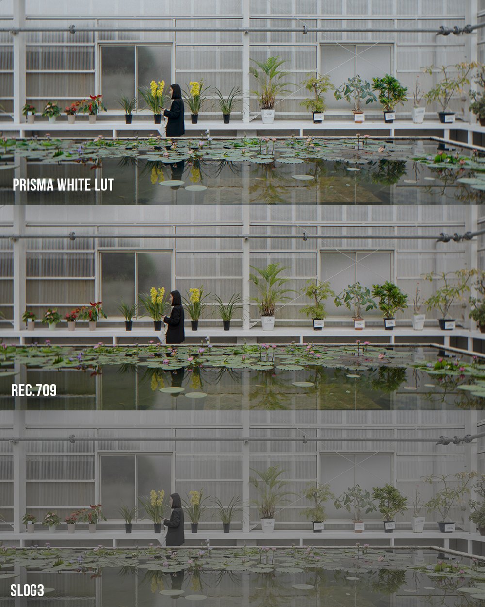 VG Studios Sunset Film LUT 14个高级现代与复古电影胶片风格化创意LUT , 第28张-素材湾丨精选海外优质设计素材资源 VG Studios Sunset Film LUT 14个高级现代与复古电影胶片风格化创意LUT , sucaiwan.com