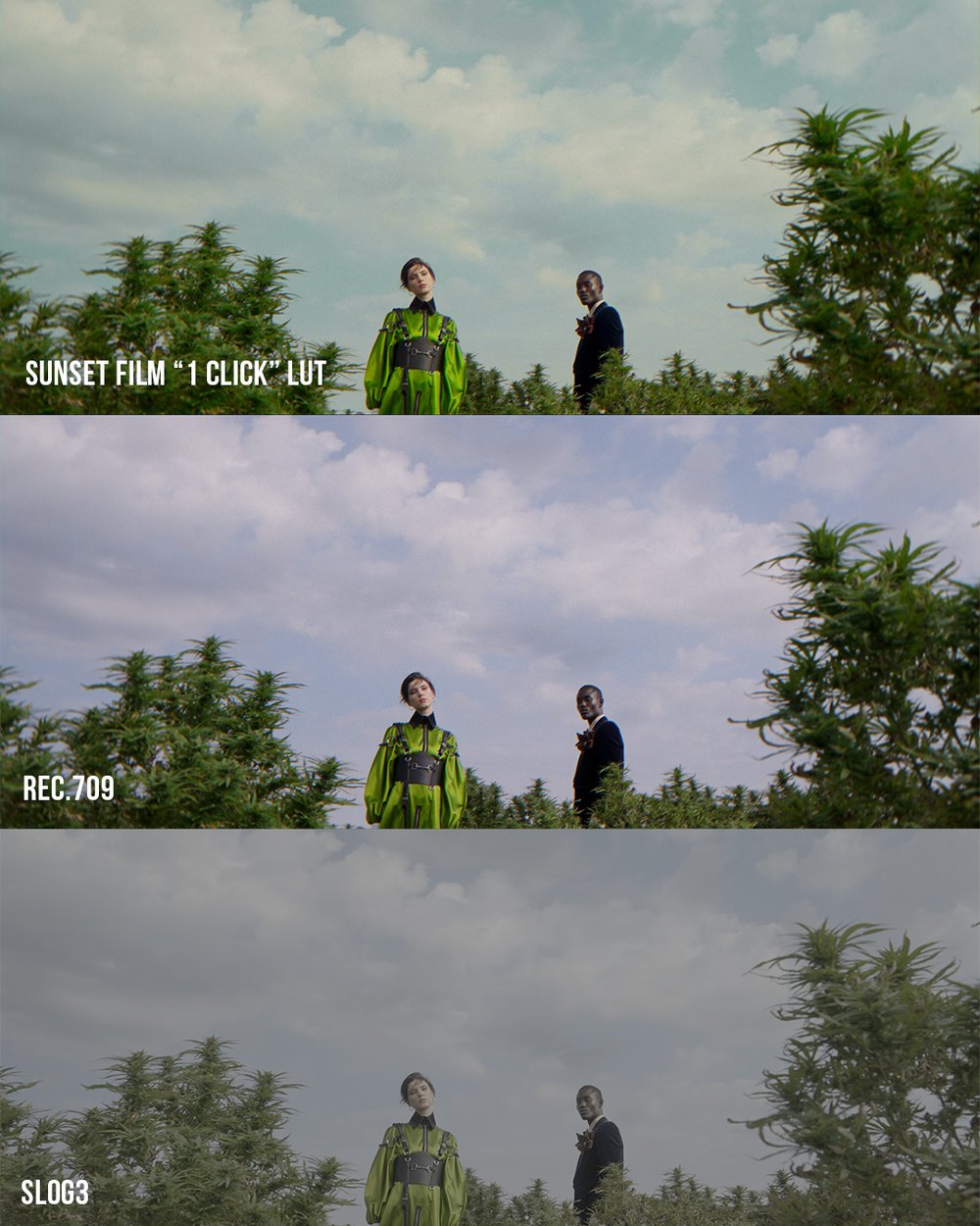 VG Studios Sunset Film LUT 14个高级现代与复古电影胶片风格化创意LUT , 第35张-素材湾丨精选海外优质设计素材资源 VG Studios Sunset Film LUT 14个高级现代与复古电影胶片风格化创意LUT , sucaiwan.com