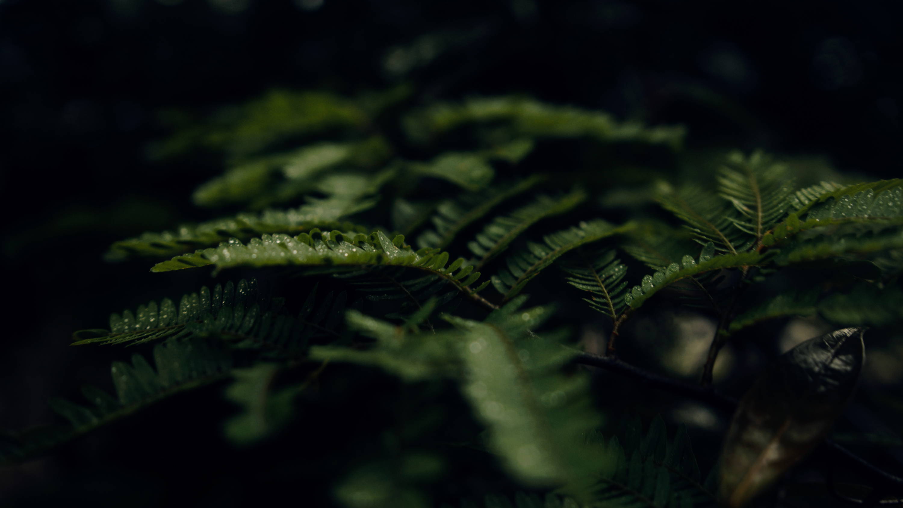 全新索尼沙漠日落电影氛围调色LUT+音效+配乐素材捆绑包 Film Space - The Ultimate Master Bundle 影视音频 第21张-素材湾丨精选海外优质设计素材资源 全新索尼沙漠日落电影氛围调色LUT+音效+配乐素材捆绑包 Film Space - The Ultimate Master Bundle 影视音频 sucaiwan.com