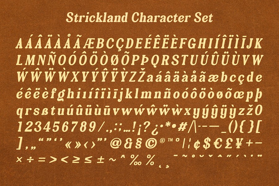 复古欧美英伦圆角粗体杂志品牌海报标题LOGO设计衬线英文字体安装包 Strickland – Retro Bold Serif 设计素材 sucaiwan.com