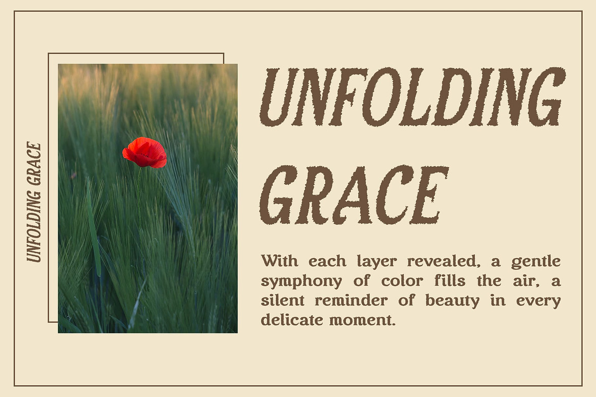 复古优雅品牌海报包装徽标设计衬线英文字体安装包 Asvoria Rough 设计素材 sucaiwan.com