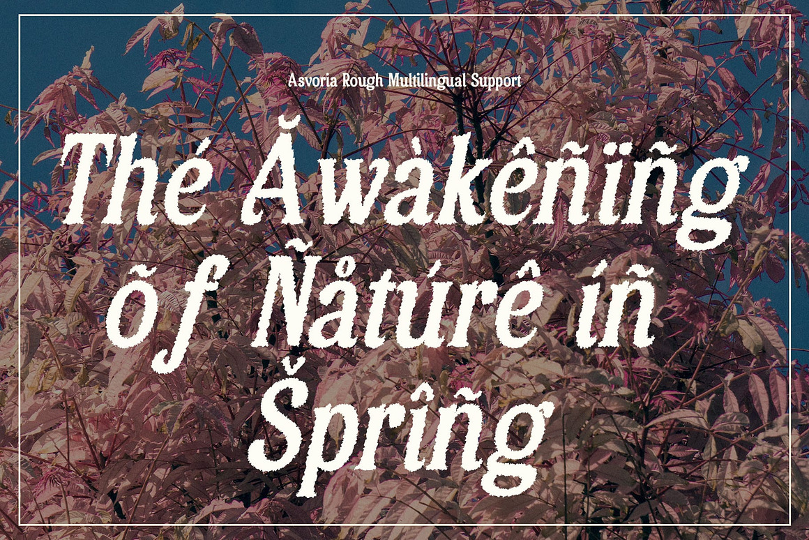 复古优雅品牌海报包装徽标设计衬线英文字体安装包 Asvoria Rough 设计素材 sucaiwan.com