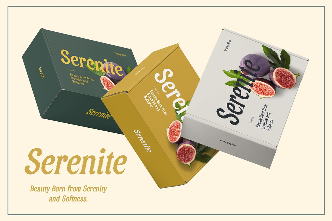 复古优雅品牌海报包装徽标设计衬线英文字体安装包 Asvoria Rough 设计素材 sucaiwan.com