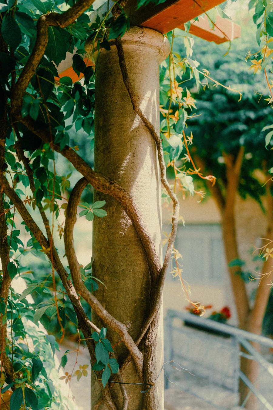 CRAWAT 35MM FILM LOOK PRESETS 13个复古35mm胶片模拟颗粒人文扫街自然风光人像汽车摄影Lightroom预设包 , 第16张-素材湾丨精选海外优质设计素材资源 CRAWAT 35MM FILM LOOK PRESETS 13个复古35mm胶片模拟颗粒人文扫街自然风光人像汽车摄影Lightroom预设包 , sucaiwan.com