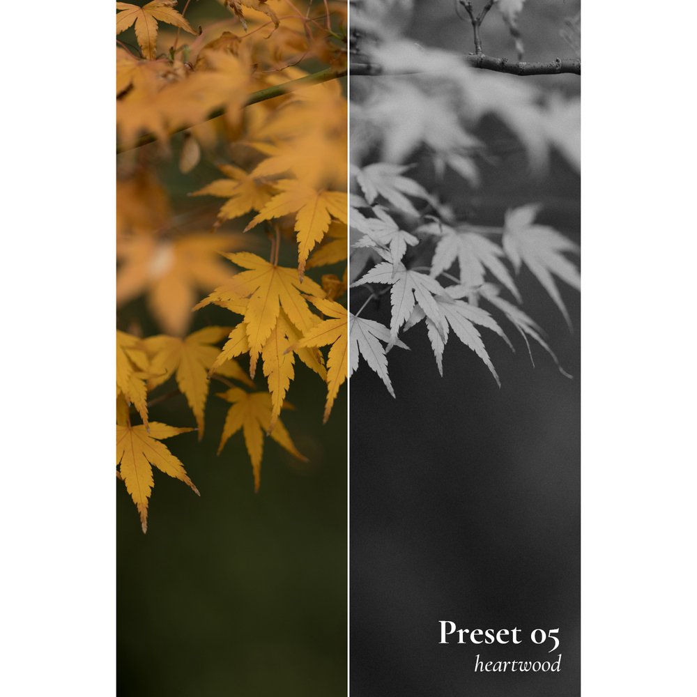 复古怀旧浪漫日落柔和色调人像摄影婚礼旅行摄影照片LR调色预设 Luke Davis - Frontier , sucaiwan.com