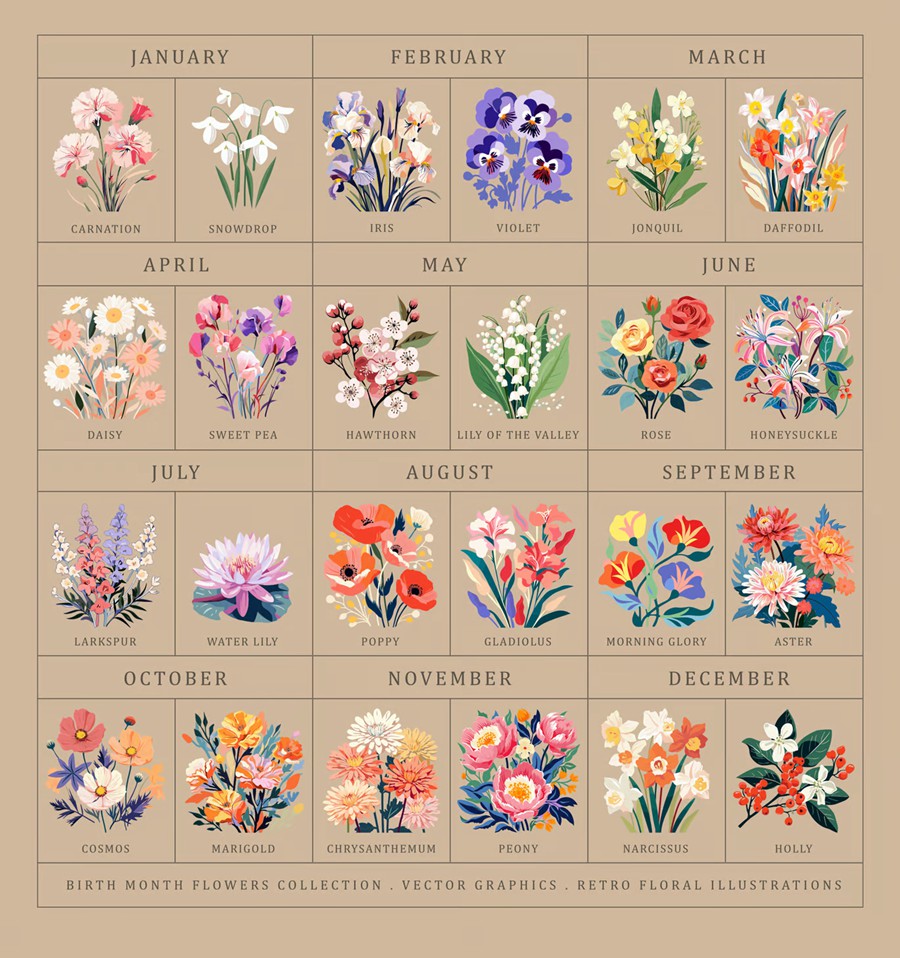 24幅花卉插图艺术风格海报AI矢量/PNG花卉剪贴画素材Birth Month Flower Market Wall Art Poster Cliparts 图片素材 第9张-素材湾丨精选海外优质设计素材资源 24幅花卉插图艺术风格海报AI矢量/PNG花卉剪贴画素材Birth Month Flower Market Wall Art Poster Cliparts 图片素材 sucaiwan.com