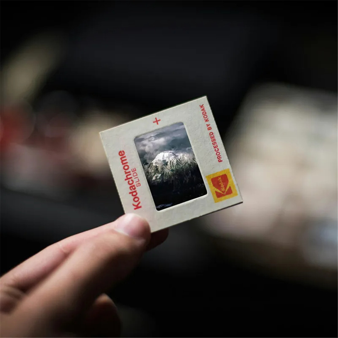 复古怀旧柯达Kodachrome电影美学胶片模拟颗粒人像摄影LR调色预设 COBALT IMAGE - Kodachrome Film emulations , 第3张-素材湾丨精选海外优质设计素材资源 复古怀旧柯达Kodachrome电影美学胶片模拟颗粒人像摄影LR调色预设 COBALT IMAGE - Kodachrome Film emulations , sucaiwan.com