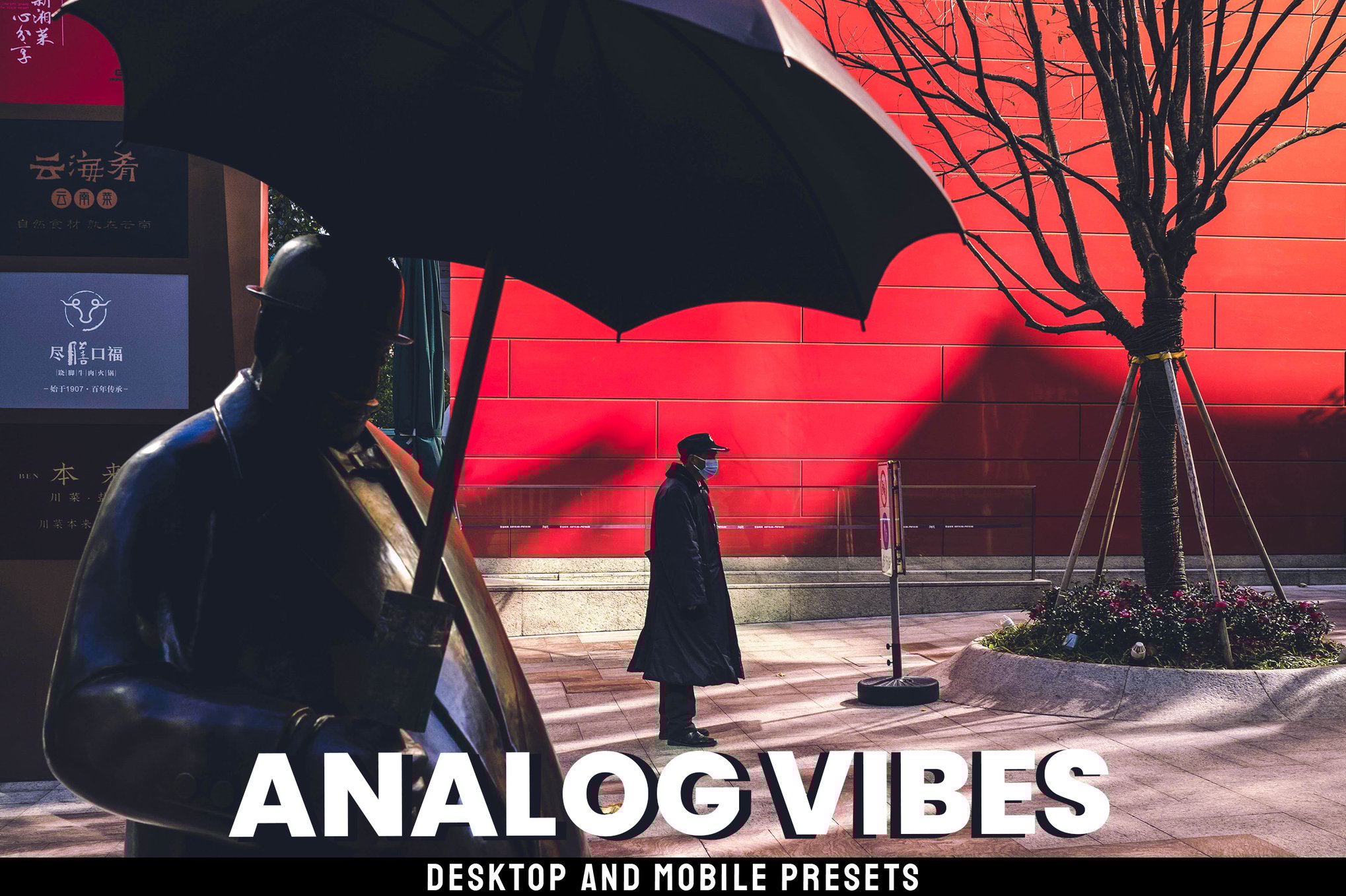 复古时尚ins风户外旅拍摄影照片调色Lightroom预设包 Analog Vibes – Desktop and Mobile Presets 插件预设 sucaiwan.com