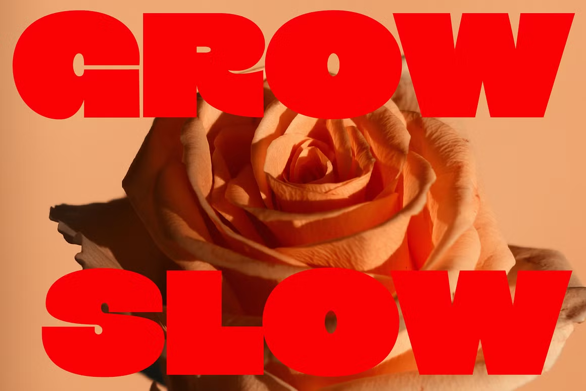 Big Sexy - Sans Serif 时尚欢快趣味插图、贴纸、海报标题、粗体无衬线字体 设计素材 sucaiwan.com