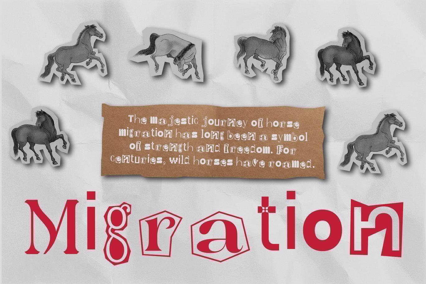 时尚创意品牌海报徽标设计装饰贴图字体安装包 Ranger – Collage Font 设计素材 第5张-素材湾丨精选海外优质设计素材资源 时尚创意品牌海报徽标设计装饰贴图字体安装包 Ranger – Collage Font 设计素材 sucaiwan.com