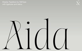 英文字体:超细现代典雅复古优雅品牌连字衬线体LOGO海报排版衬线字体 Aida - Elegant Ligature Serif