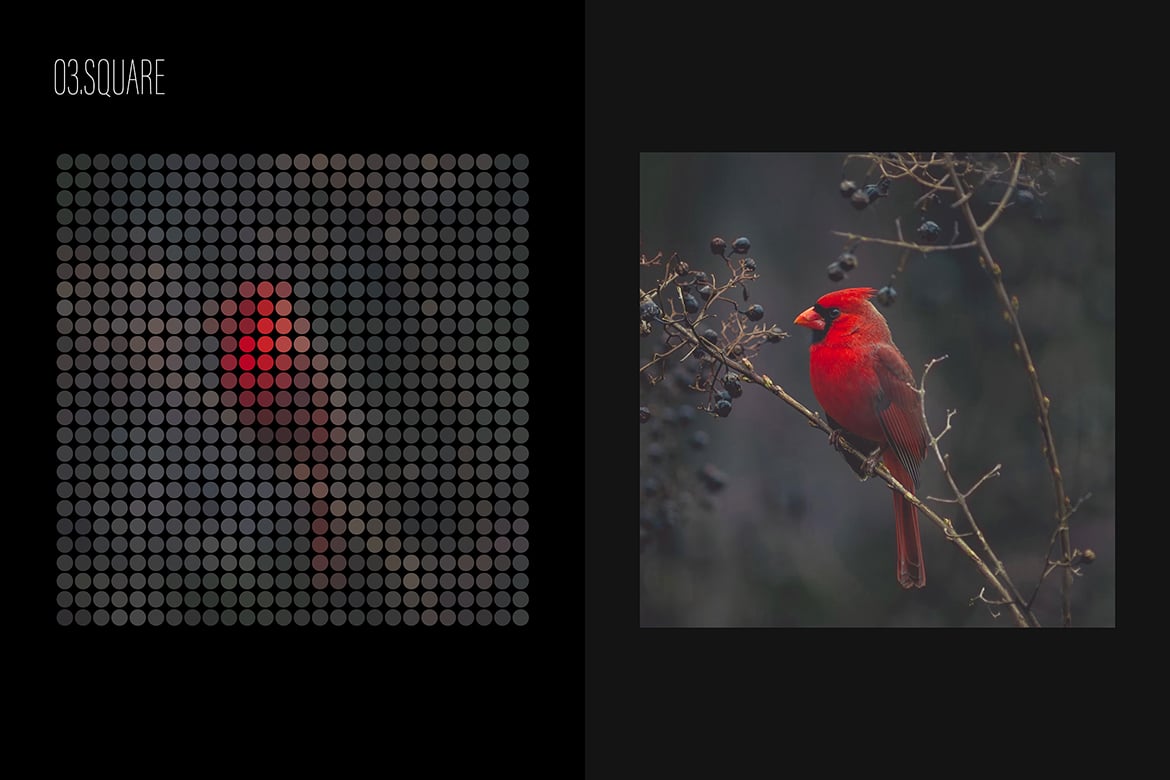圆形网格马赛克照片效果ps特效滤镜样机 Mosaic Photoshop Effect 插件预设 第5张-素材湾丨精选海外优质设计素材资源 圆形网格马赛克照片效果ps特效滤镜样机 Mosaic Photoshop Effect 插件预设 sucaiwan.com
