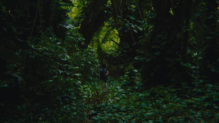 怀旧电影外观柯达Kodak 2383 D55胶片模拟达芬奇调色Powergrade节点预设 Julian Sanchez – LOOKILLA Powergrade 插件预设 sucaiwan.com