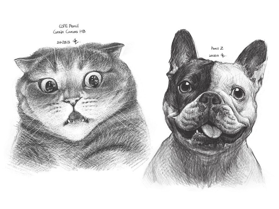 真实铅笔素描木炭笔线条绘画插画procreate笔刷画笔素材 CRISP Pencil Pack for Procreate 笔刷资源 sucaiwan.com