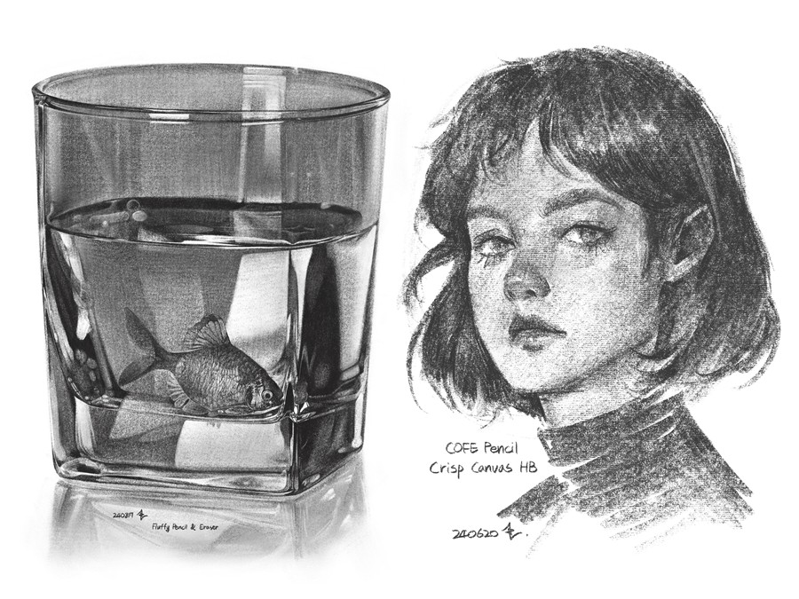 真实铅笔素描木炭笔线条绘画插画procreate笔刷画笔素材 CRISP Pencil Pack for Procreate 笔刷资源 sucaiwan.com