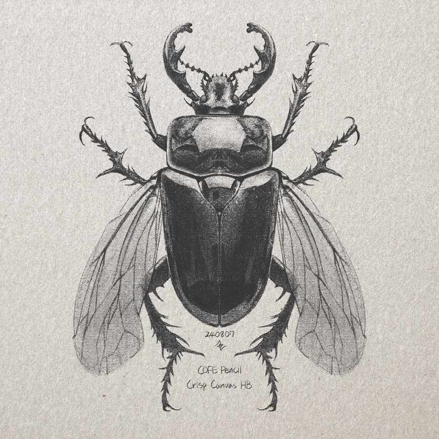 真实铅笔素描木炭笔线条绘画插画procreate笔刷画笔素材 CRISP Pencil Pack for Procreate 笔刷资源 sucaiwan.com