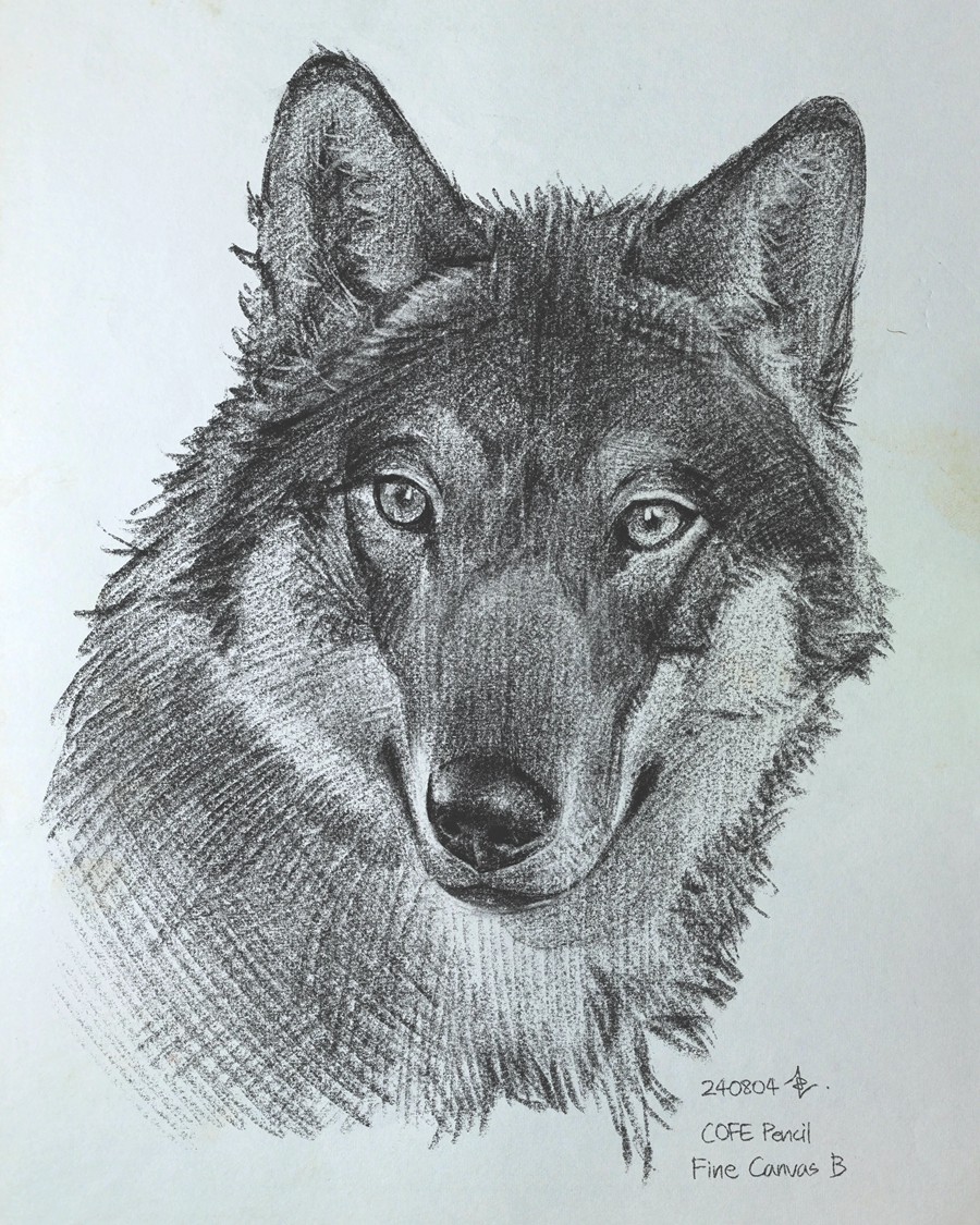 真实铅笔素描木炭笔线条绘画插画procreate笔刷画笔素材 CRISP Pencil Pack for Procreate 笔刷资源 sucaiwan.com