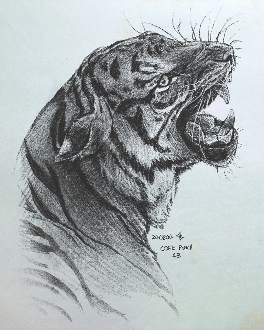 真实铅笔素描木炭笔线条绘画插画procreate笔刷画笔素材 CRISP Pencil Pack for Procreate 笔刷资源 sucaiwan.com