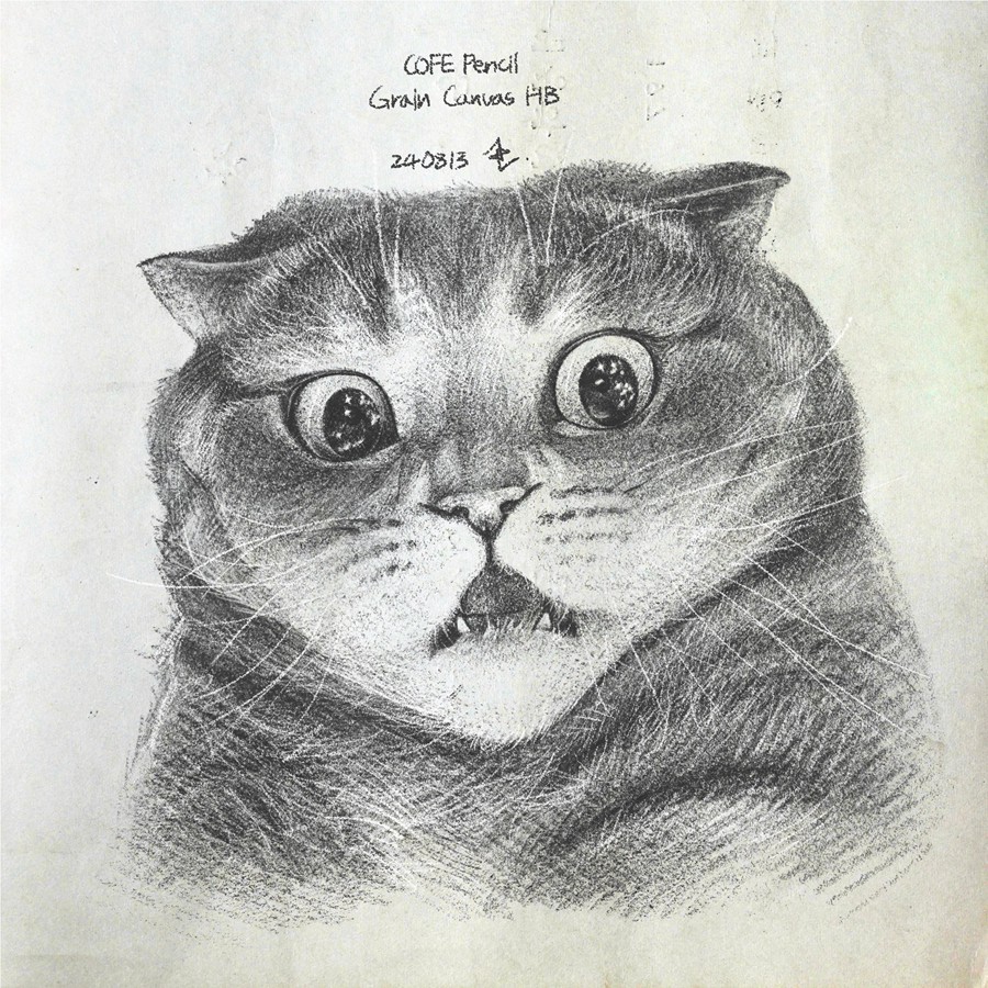 真实铅笔素描木炭笔线条绘画插画procreate笔刷画笔素材 CRISP Pencil Pack for Procreate 笔刷资源 sucaiwan.com