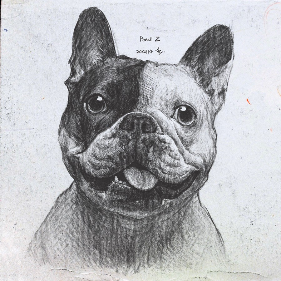 真实铅笔素描木炭笔线条绘画插画procreate笔刷画笔素材 CRISP Pencil Pack for Procreate 笔刷资源 sucaiwan.com