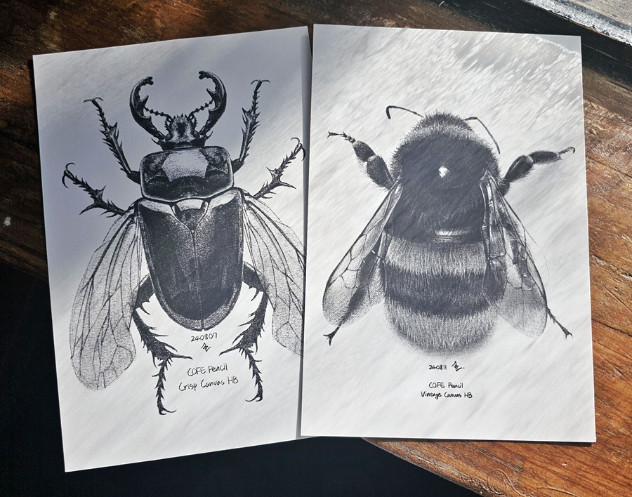 真实铅笔素描木炭笔线条绘画插画procreate笔刷画笔素材 CRISP Pencil Pack for Procreate 笔刷资源 sucaiwan.com