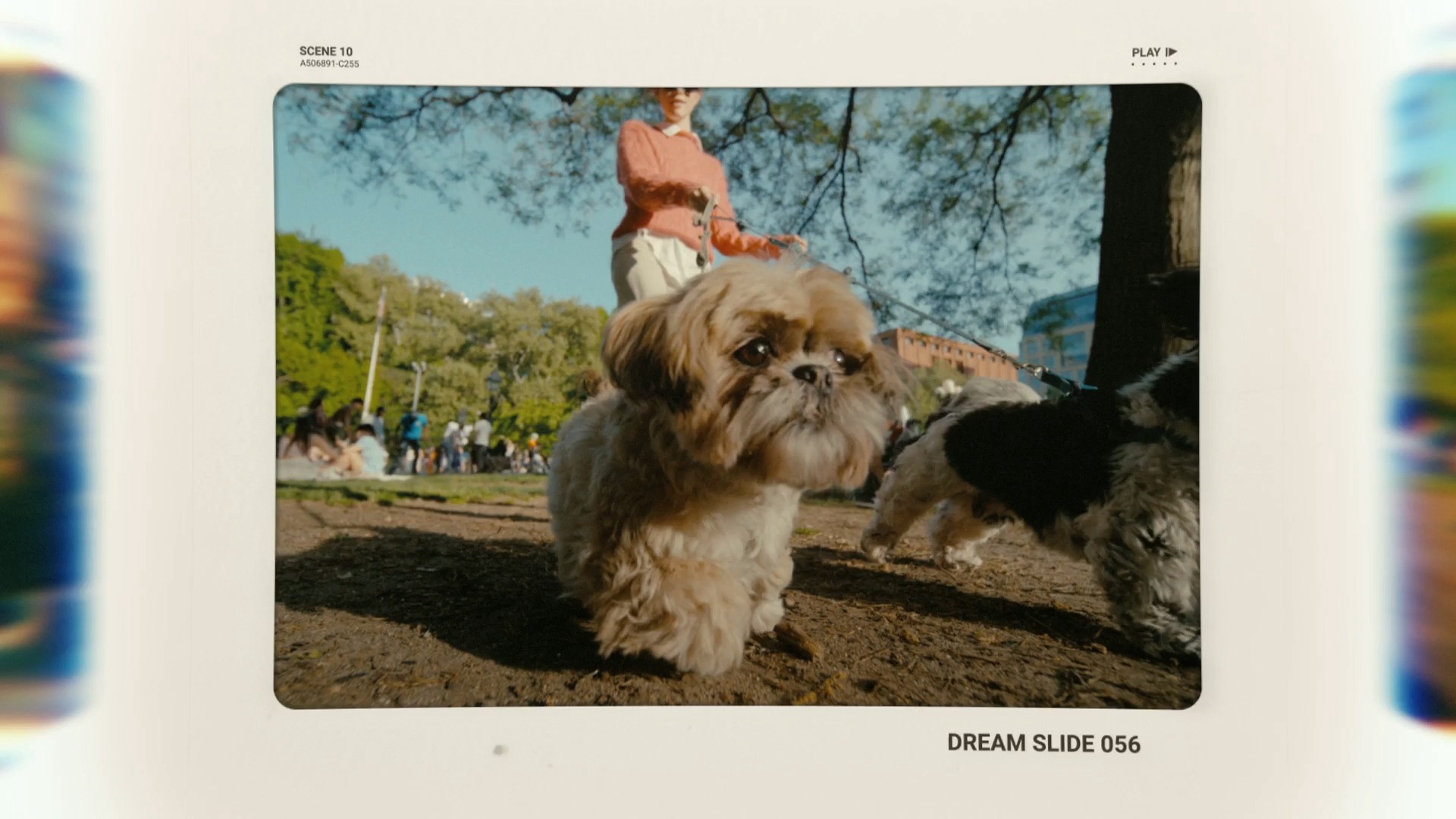 复古怀旧照片视频展示流畅幻灯片切换过渡AE模板 Old Photo Slides 影视音频 sucaiwan.com