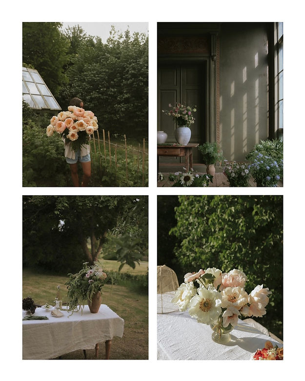 复古旧照片模拟温暖柔和色调肖像食物花园摄影LR调色预设 Anna Kubel - Analog Package Presets , sucaiwan.com