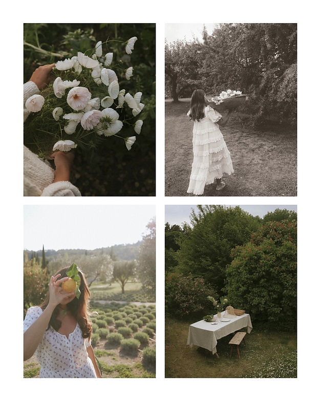 复古旧照片模拟温暖柔和色调肖像食物花园摄影LR调色预设 Anna Kubel - Analog Package Presets , sucaiwan.com