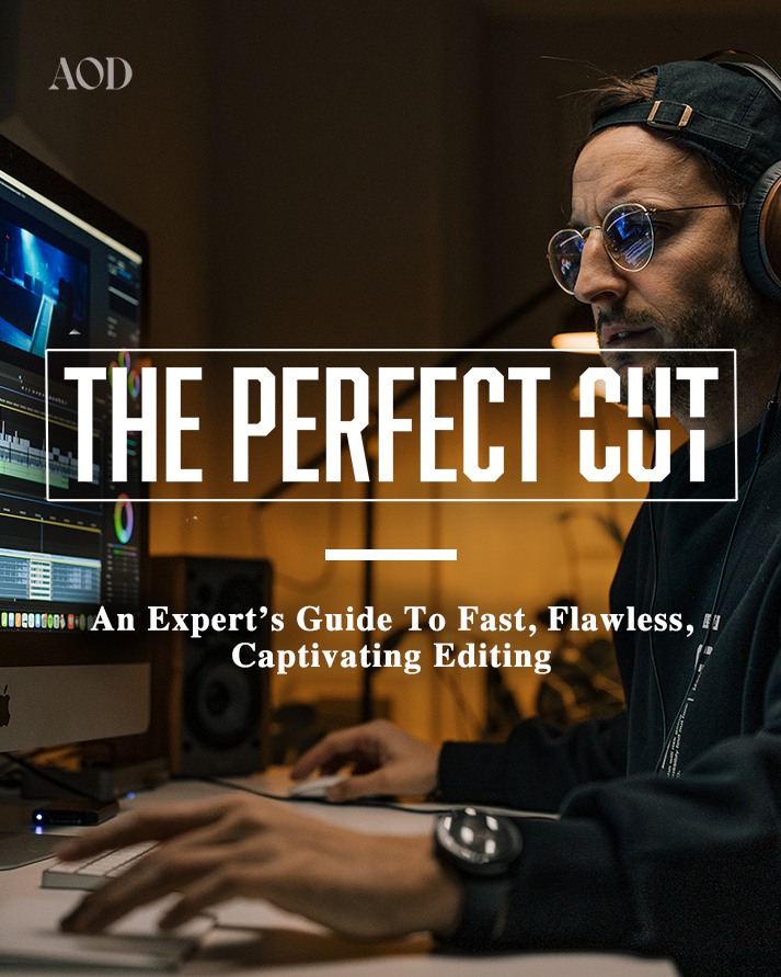 好莱坞电影大片编辑剪辑视频教程 中英文字幕 AOD – Art of Documentary – The Perfect Cut , sucaiwan.com