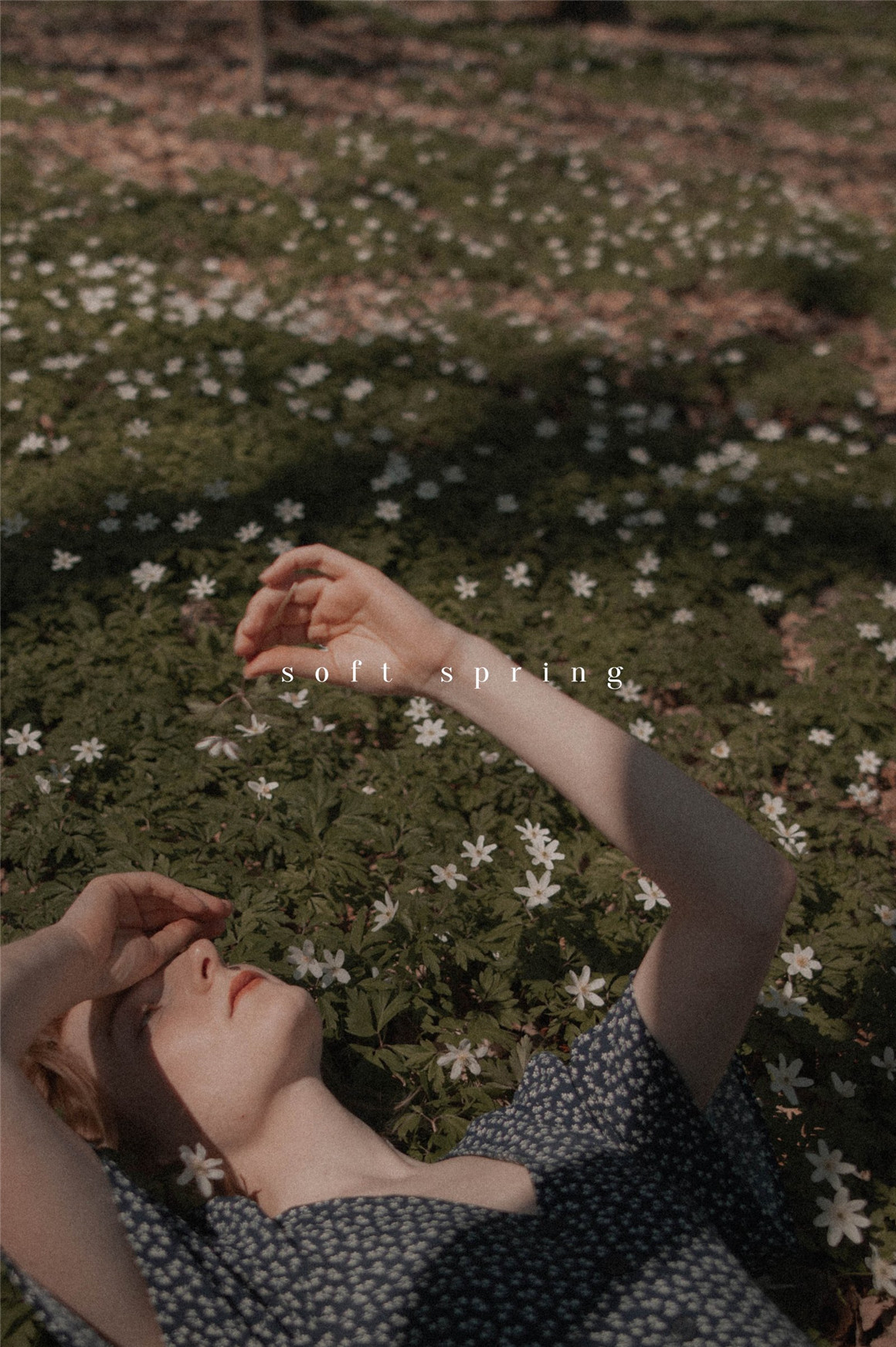 复古情绪电影胶片模拟颗粒晕影纹理人文扫街LR调色预设 Tina Sosna – Calm & Quiet – Preset Package Lightroom Desktop/Mobile 插件预设 第11张-素材湾丨精选海外优质设计素材资源 复古情绪电影胶片模拟颗粒晕影纹理人文扫街LR调色预设 Tina Sosna – Calm & Quiet – Preset Package Lightroom Desktop/Mobile 插件预设 sucaiwan.com