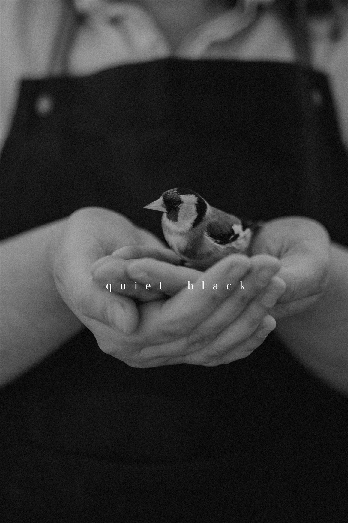 复古情绪电影胶片模拟颗粒晕影纹理人文扫街LR调色预设 Tina Sosna – Calm & Quiet – Preset Package Lightroom Desktop/Mobile 插件预设 第12张-素材湾丨精选海外优质设计素材资源 复古情绪电影胶片模拟颗粒晕影纹理人文扫街LR调色预设 Tina Sosna – Calm & Quiet – Preset Package Lightroom Desktop/Mobile 插件预设 sucaiwan.com