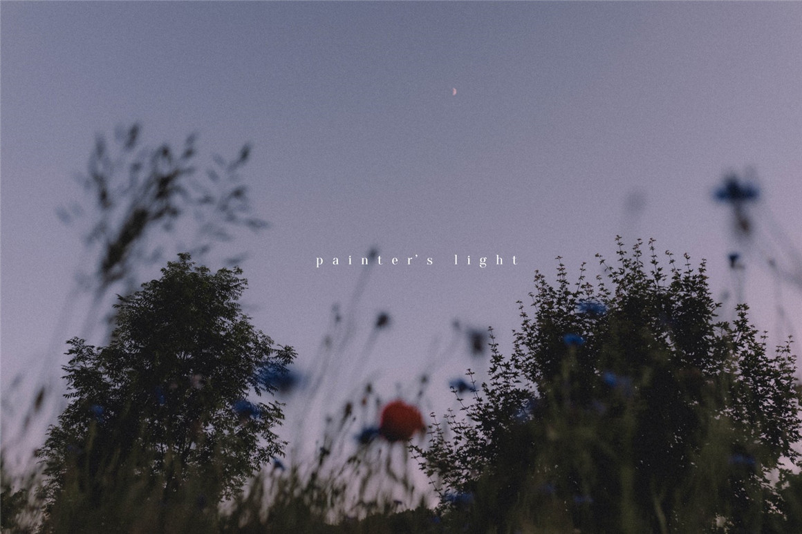 复古情绪电影胶片模拟颗粒晕影纹理人文扫街LR调色预设 Tina Sosna – Calm & Quiet – Preset Package Lightroom Desktop/Mobile 插件预设 第13张-素材湾丨精选海外优质设计素材资源 复古情绪电影胶片模拟颗粒晕影纹理人文扫街LR调色预设 Tina Sosna – Calm & Quiet – Preset Package Lightroom Desktop/Mobile 插件预设 sucaiwan.com