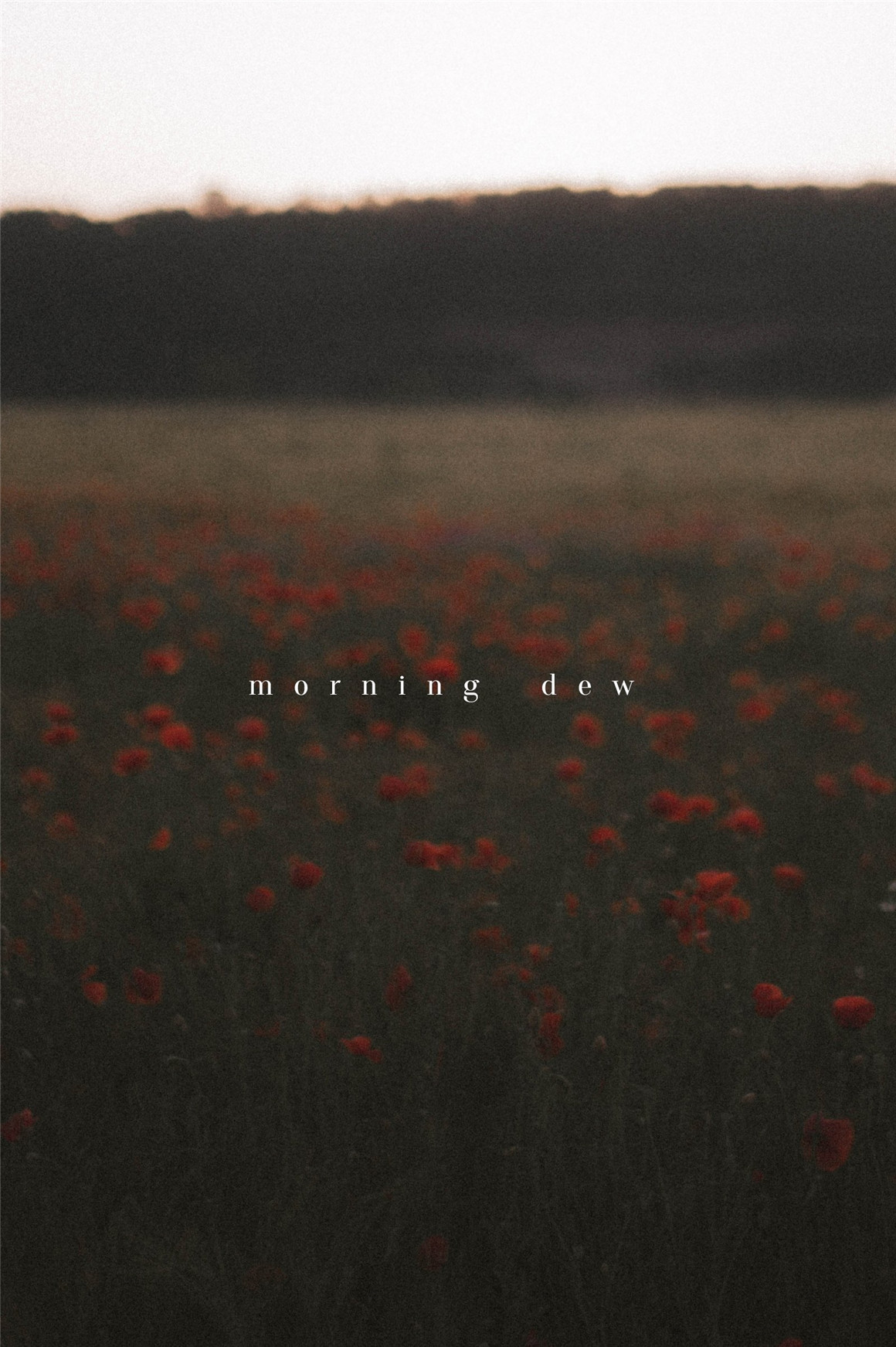 复古情绪电影胶片模拟颗粒晕影纹理人文扫街LR调色预设 Tina Sosna – Calm & Quiet – Preset Package Lightroom Desktop/Mobile 插件预设 第15张-素材湾丨精选海外优质设计素材资源 复古情绪电影胶片模拟颗粒晕影纹理人文扫街LR调色预设 Tina Sosna – Calm & Quiet – Preset Package Lightroom Desktop/Mobile 插件预设 sucaiwan.com