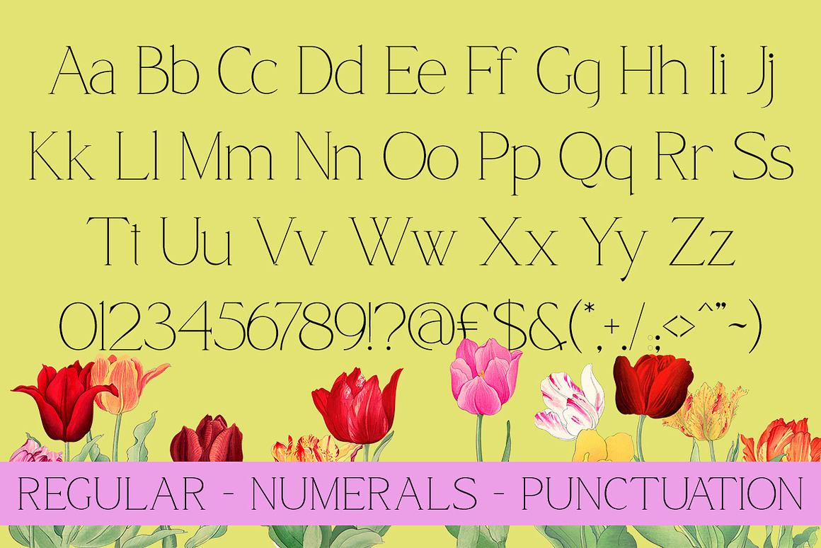 现代优雅品牌包装婚礼徽标设计衬线英文字体安装包 Qamora – Elegant Serif Font 设计素材 第9张-素材湾丨精选海外优质设计素材资源 现代优雅品牌包装婚礼徽标设计衬线英文字体安装包 Qamora – Elegant Serif Font 设计素材 sucaiwan.com