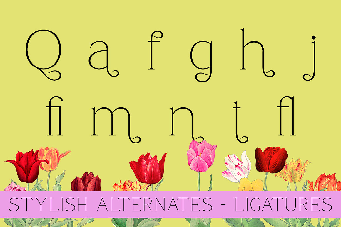 现代优雅品牌包装婚礼徽标设计衬线英文字体安装包 Qamora – Elegant Serif Font 设计素材 第10张-素材湾丨精选海外优质设计素材资源 现代优雅品牌包装婚礼徽标设计衬线英文字体安装包 Qamora – Elegant Serif Font 设计素材 sucaiwan.com