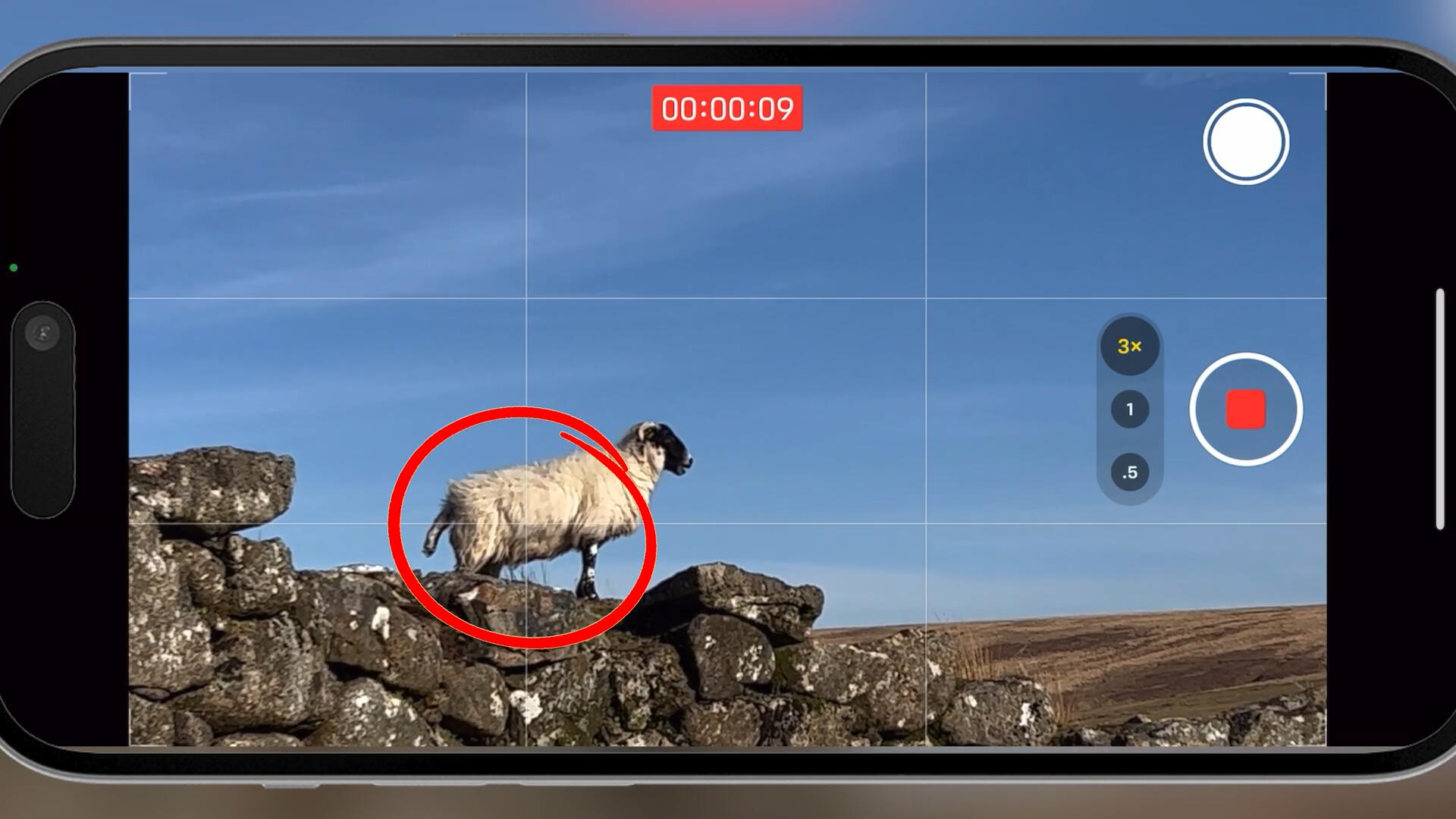 大师课程:油管热门iPhone手机剪辑编辑调色电影制作人视频课程+LUT调色预设 Mobile Videography For Beginners , 第8张-素材湾丨精选海外优质设计素材资源 大师课程:油管热门iPhone手机剪辑编辑调色电影制作人视频课程+LUT调色预设 Mobile Videography For Beginners , sucaiwan.com
