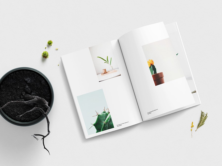 Magazine Mockup Bundle 80多个摄影后期照片杂志画册打印样机模型设计套装包Photoshop模板 样机素材 第4张-素材湾丨精选海外优质设计素材资源 Magazine Mockup Bundle 80多个摄影后期照片杂志画册打印样机模型设计套装包Photoshop模板 样机素材 sucaiwan.com
