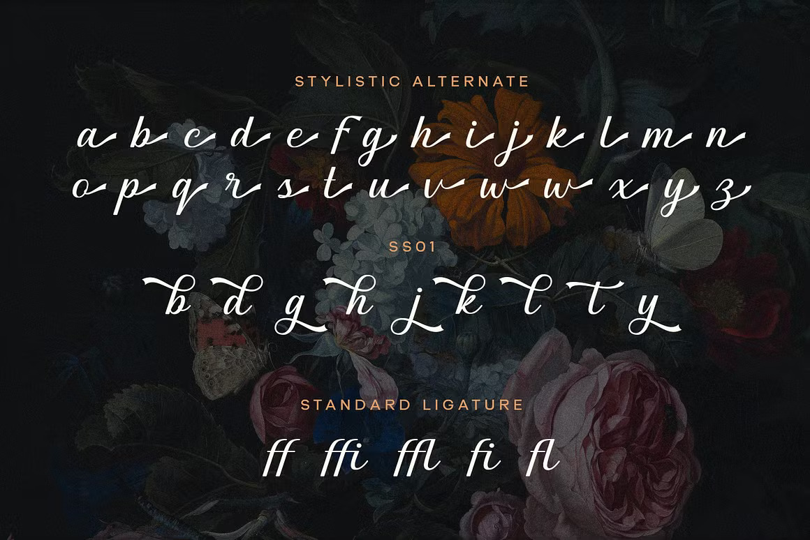 复古时尚杂志邀请函徽标设计手写英文字体安装包 Graceful Nostagia Script Font 设计素材 第8张-素材湾丨精选海外优质设计素材资源 复古时尚杂志邀请函徽标设计手写英文字体安装包 Graceful Nostagia Script Font 设计素材 sucaiwan.com