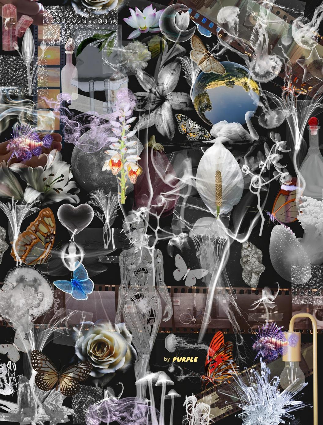 100多个复古拼贴艺术透明气泡膜塑料花朵蝴蝶水晶剪贴画纸张肌理PNG图片设计套装 PNGTRANSPARENCY — Collage Pack 图片素材 第6张-素材湾丨精选海外优质设计素材资源 100多个复古拼贴艺术透明气泡膜塑料花朵蝴蝶水晶剪贴画纸张肌理PNG图片设计套装 PNGTRANSPARENCY — Collage Pack 图片素材 sucaiwan.com