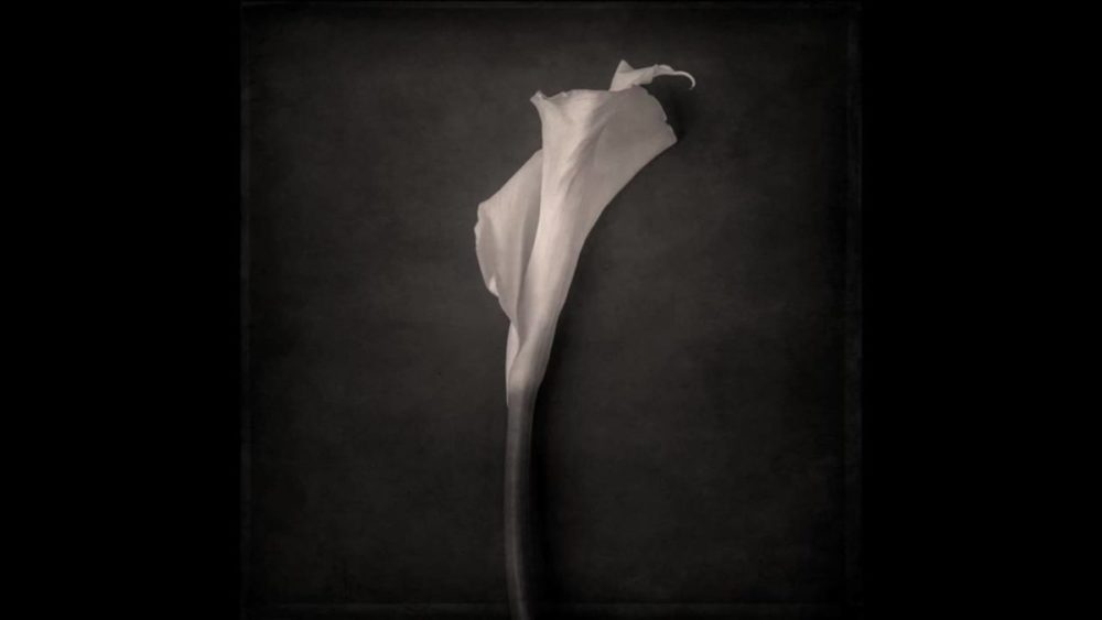 国外风格产品摄影照片后期修图视频教程 中英文字幕 Joel Grimes – Still Life Masterclass 设计教程 第13张-素材湾丨精选海外优质设计素材资源 国外风格产品摄影照片后期修图视频教程 中英文字幕 Joel Grimes – Still Life Masterclass 设计教程 sucaiwan.com