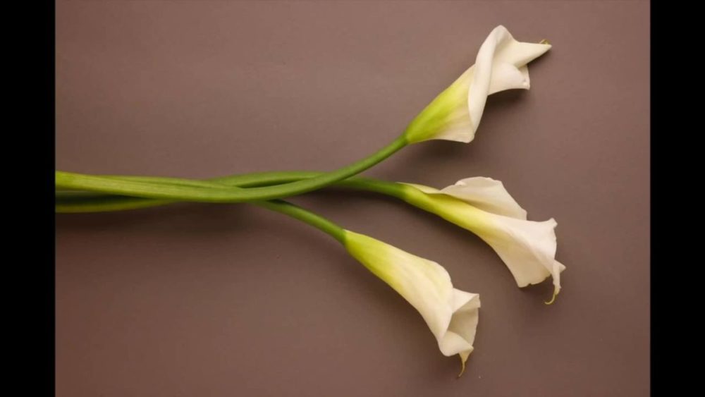 国外风格产品摄影照片后期修图视频教程 中英文字幕 Joel Grimes – Still Life Masterclass 设计教程 第17张-素材湾丨精选海外优质设计素材资源 国外风格产品摄影照片后期修图视频教程 中英文字幕 Joel Grimes – Still Life Masterclass 设计教程 sucaiwan.com