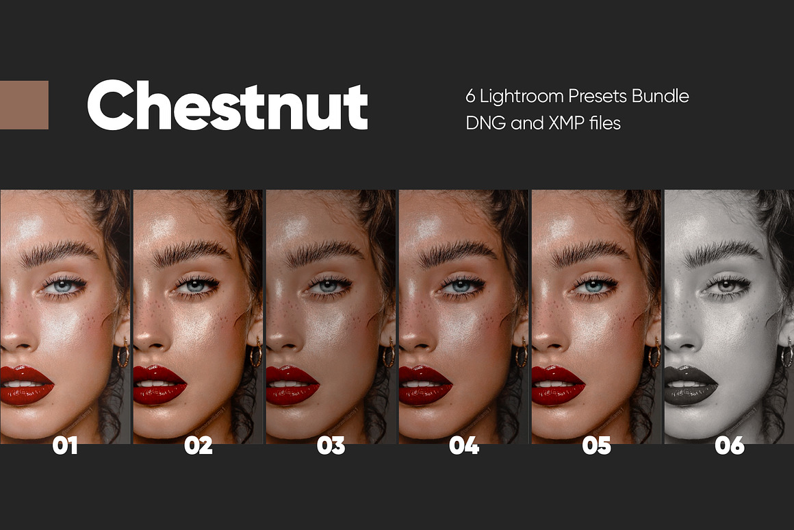 6款现代时尚暖色调人像摄影大片后期LR照片调色luts预设套装6 CHESTNUT LIGHTROOM PRESETS 插件预设 第9张-素材湾丨精选海外优质设计素材资源 6款现代时尚暖色调人像摄影大片后期LR照片调色luts预设套装6 CHESTNUT LIGHTROOM PRESETS 插件预设 sucaiwan.com