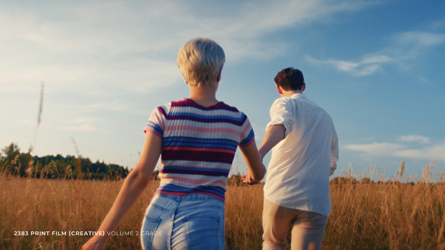 达芬奇Davinci Resolve电影胶片模拟PowerGrade颜色分级 - FilmForever™ Film Emulation Power Grade 2022 (Updated) 插件预设 第5张-素材湾丨精选海外优质设计素材资源 达芬奇Davinci Resolve电影胶片模拟PowerGrade颜色分级 - FilmForever™ Film Emulation Power Grade 2022 (Updated) 插件预设 sucaiwan.com