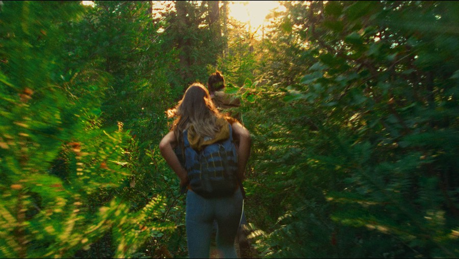 达芬奇Davinci Resolve电影胶片模拟PowerGrade颜色分级 - FilmForever™ Film Emulation Power Grade 2022 (Updated) 插件预设 第7张-素材湾丨精选海外优质设计素材资源 达芬奇Davinci Resolve电影胶片模拟PowerGrade颜色分级 - FilmForever™ Film Emulation Power Grade 2022 (Updated) 插件预设 sucaiwan.com