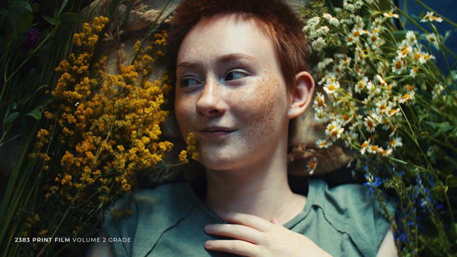 达芬奇Davinci Resolve电影胶片模拟PowerGrade颜色分级 - FilmForever™ Film Emulation Power Grade 2022 (Updated) 插件预设 第8张-素材湾丨精选海外优质设计素材资源 达芬奇Davinci Resolve电影胶片模拟PowerGrade颜色分级 - FilmForever™ Film Emulation Power Grade 2022 (Updated) 插件预设 sucaiwan.com